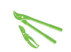 SECATEURS / LOPPERS